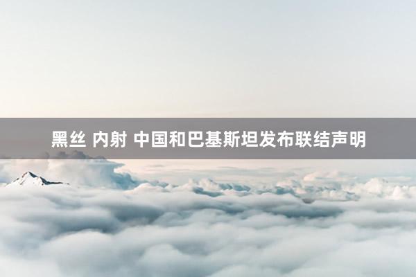 黑丝 内射 中国和巴基斯坦发布联结声明
