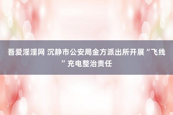 吾爱淫淫网 沉静市公安局金方派出所开展“飞线”充电整治责任